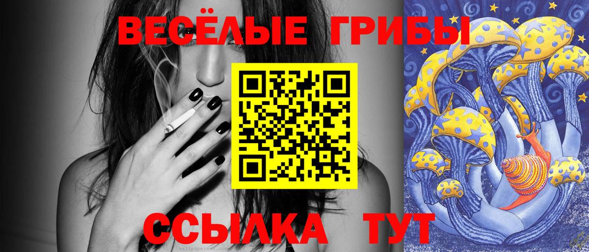 купить закладку  Вход с VPN  Галлюциногенные грибы ЛСД  Ржев  Псилоцибиновые грибы ЛСД 