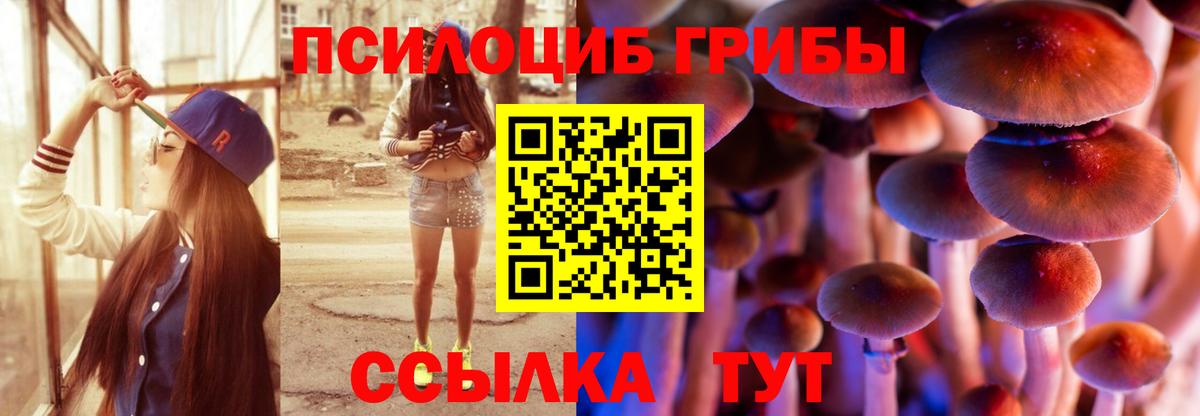 Галлюциногенные грибы Psilocybine cubensis Ржев